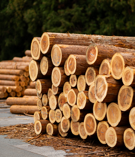 吉野見学ツアー